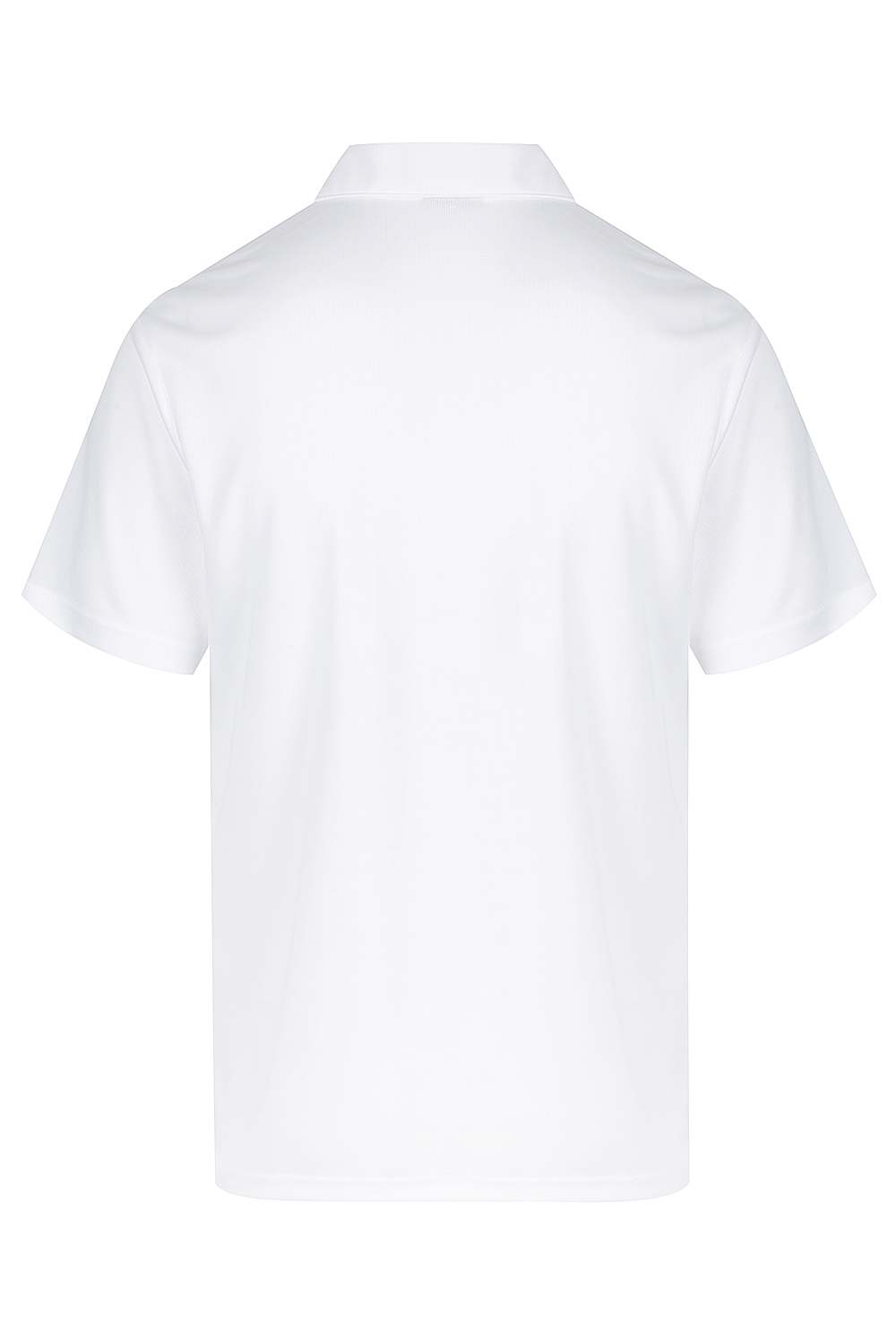 Botany Mens Polos – N1307 - Image 2