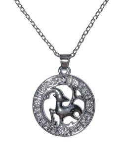 Capricorn Star Sign Necklace